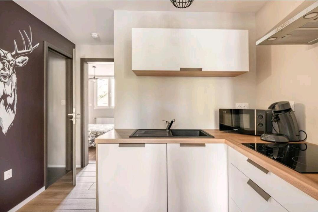 Le Nature 1 Chambre Et Sauna Colmar Eksteriør bilde